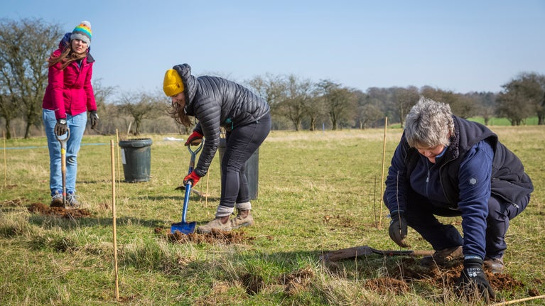 NT staff planting a tree on the Sherborne Estate